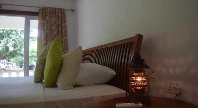 Chalet 1 chambre Chalet Bamboo Vert