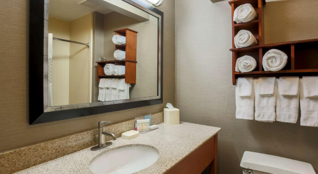 Четырёхместный номер Standard Hampton Inn Lexington South-Keeneland Airport