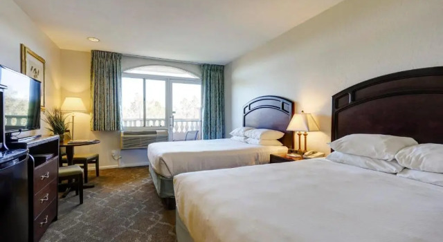 Четырёхместный номер Standard Forest Villas Hotel