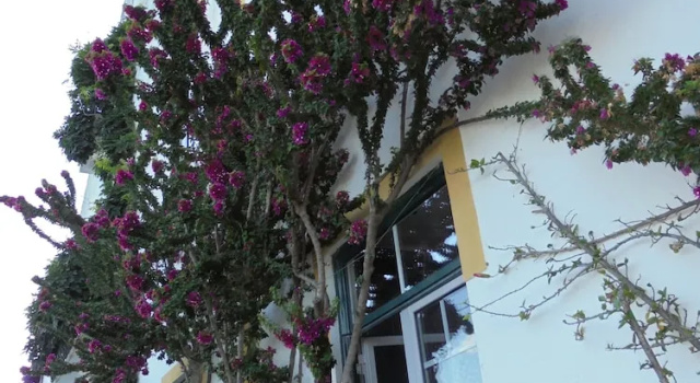 Casa Covao da Abitureira