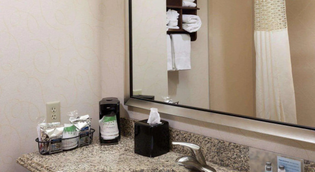 Двухместный номер Standard Hampton Inn & Suites Dallas-Arlington-South