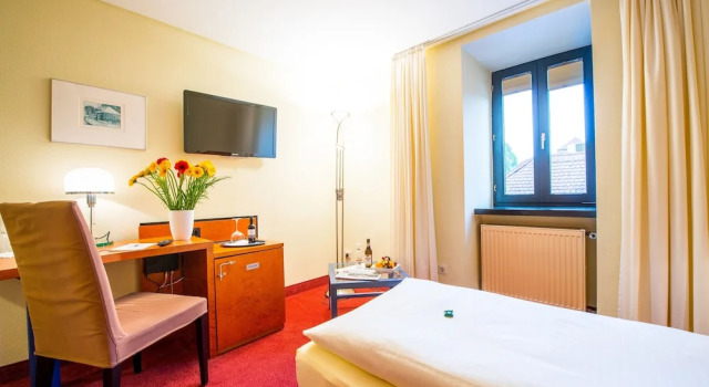 Standard single cameră Hotel zum Ritter