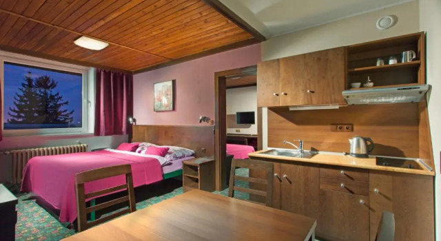 Апартаменты Hotel Tetřeví Boudy