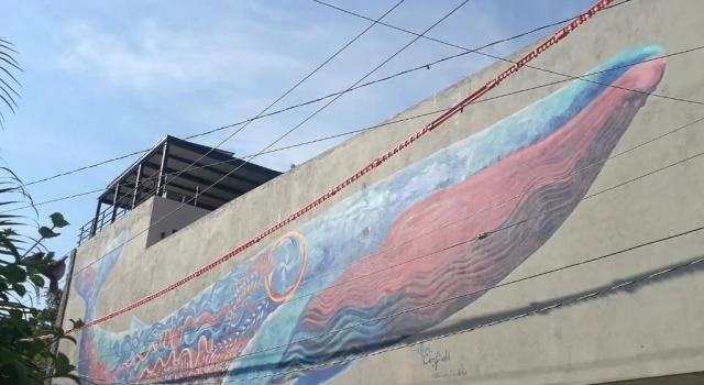 Casa de la Ballena
