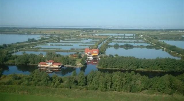 Mėlynojo karpio namas, Book Hotel Hotels in Klaipeda with Breakfast, Breakfasts