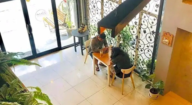 Кровать в общем номере D House Hostel