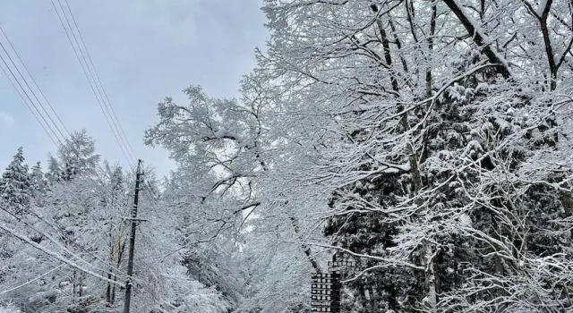 Шале Deluxe Bears Den Mountain Lodge