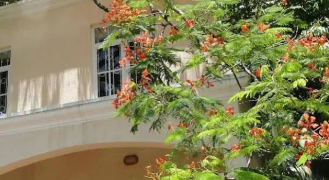 Villa Ylang
