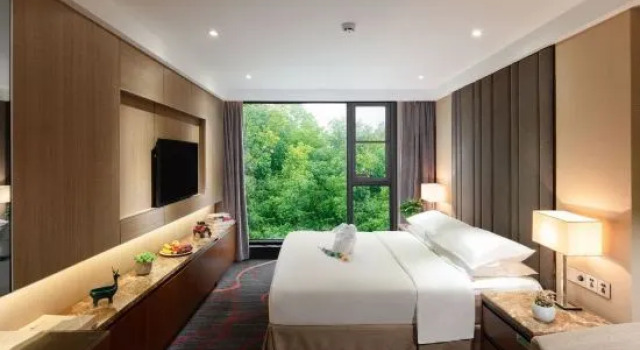 Семейный люкс с красивым видом из окна Vienna Hotel