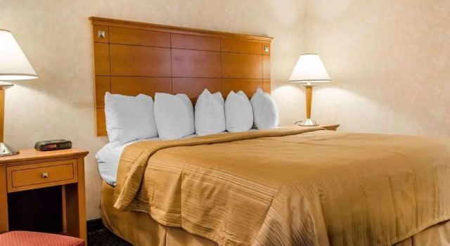 Номер Standard Quality Inn Harrisburg - Hershey Area
