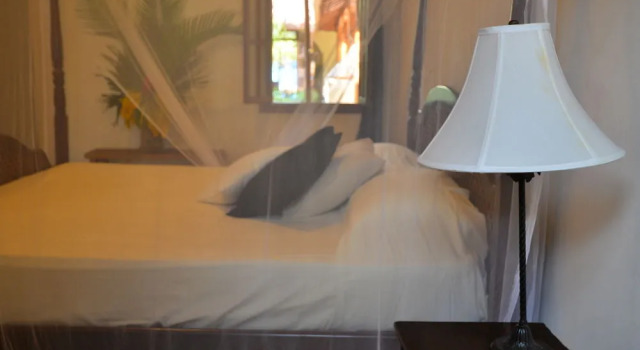 Hotel Boutique La Cigale, Rezerwuj Boutique Hotel Hotele butikowe w Granada Region, Boutique Hotel
