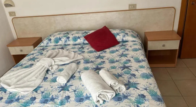 Двухместный номер Standard с балконом Hotel Vienna Rivazzurra