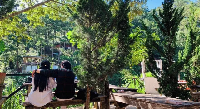 Четырёхместный номер Classic с балконом The Sound Of Silence Homestay Đà Lạt
