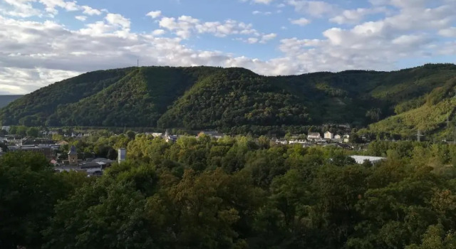 Апартаменты Ferienwohnung am Weinberg