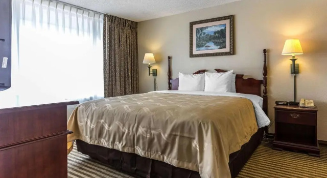 Номер Standard Quality Inn & Suites Georgetown
