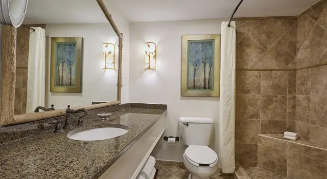 Полулюкс Lanier Islands Legacy Lodge