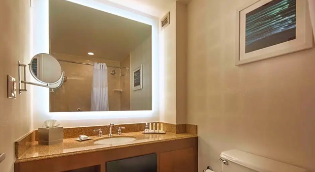 Двухместный люкс Accessible Roll-in Shower 2-room с видом на бассейн DoubleTree by Hilton Newark-Fremont