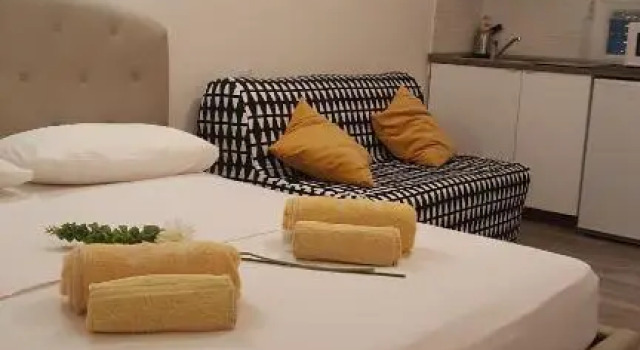 Superior Studio Flat - Vatican