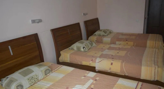 Номер Standard Hostel Botanical Garden