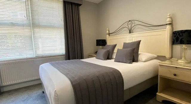 Двухместный номер Standard Camelia Hotel
