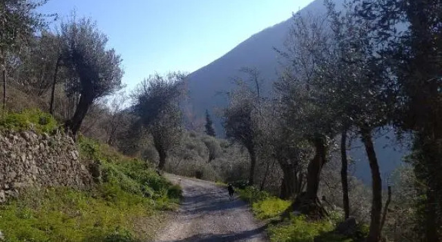 Agriturismo LE CASE ROTTE, Buchen Sie Hotel Balestrino Ligurien