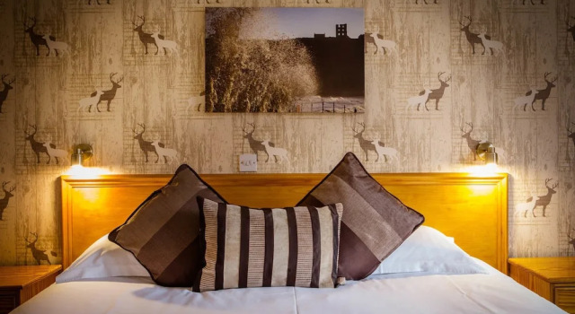Номер Standard Orchard Lodge
