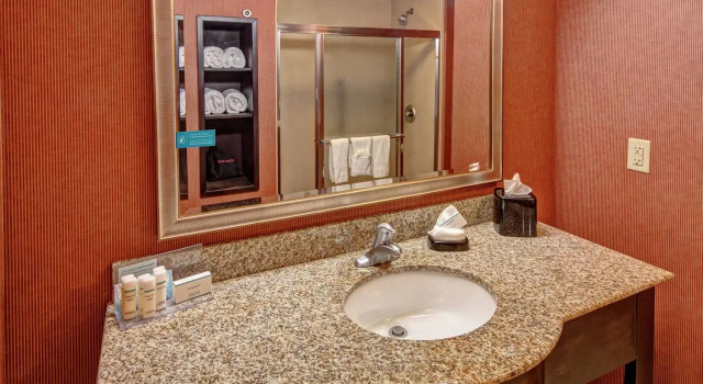 Номер Standard Hampton Inn Jacksonville-Anniston Area