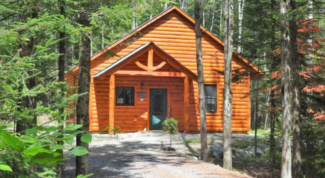 Номер Standard Robert Frost Mountain Cabins