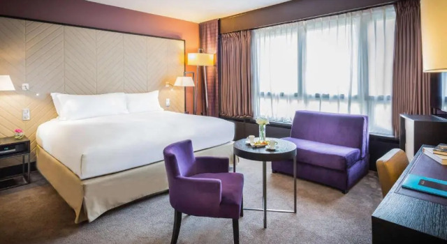 Двухместный номер Luxury with square or garden view Sofitel Strasbourg Grande Ile