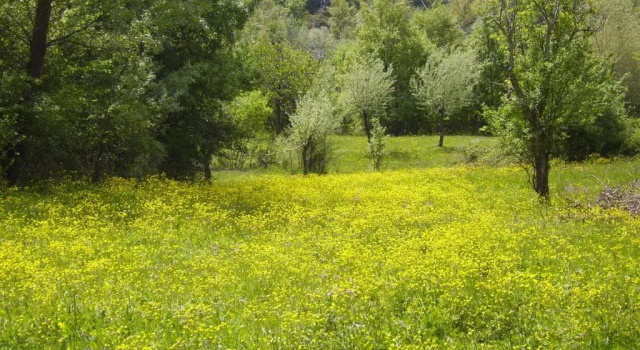 Коттедж B&B Podere Bramapane