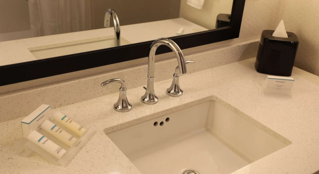 Двухместный полулюкс Accessible Hilton Garden Inn Austin Airport