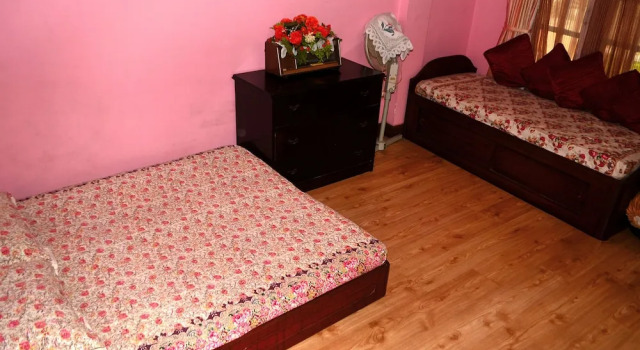 Номер Deluxe Pari Homestay