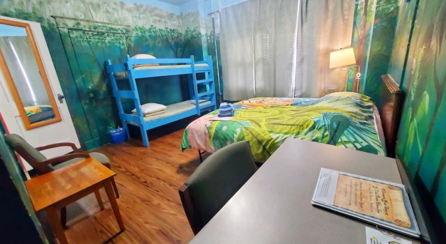 Одноместный номер Comfort The Pirate Haus Inn