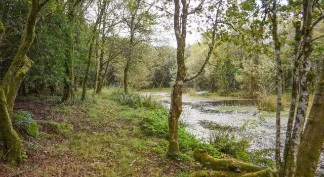 The Linhay, Okehampton