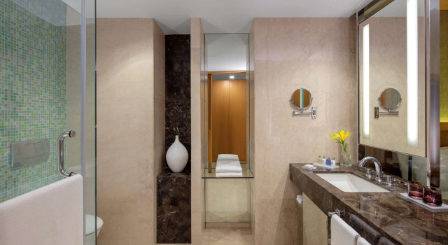Номер Deluxe Radisson Blu Hotel Guwahati