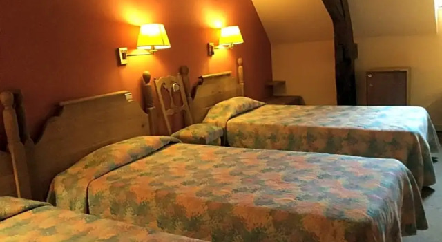 Номер Standard Logis Hôtel La Fleur de Lys