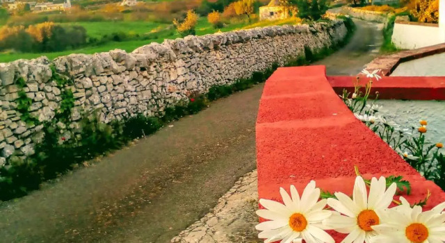 Коттедж La Chianca Ritrovata - trulli in valle d'Itria