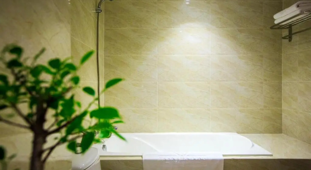 Двухместный номер Deluxe Tran Vien Dong Hotel