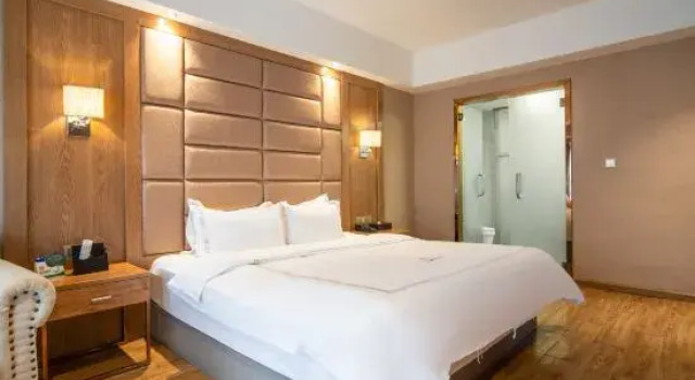 Люкс Business Bolisi Hotel