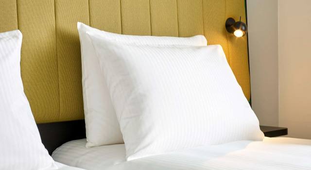 Номер Superior Park Inn By Radisson Hasselt