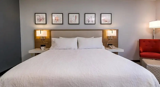 Люкс c 1 комнатой Hilton Garden Inn Atlanta North/Johns Creek