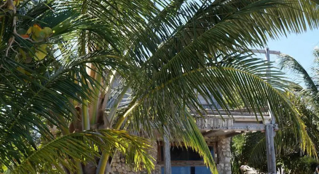 Siyaj-kin Camping, Prenota Campeggio Campeggi e glamping a Costa Maya, Campeggio