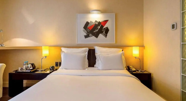 Двухместный номер Superior Pullman Sao Paulo Ibirapuera