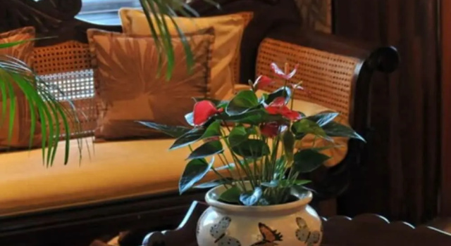 Hotel L'Imperatrice