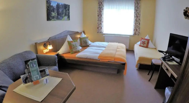 Двухместный номер Standard Hotel Drei Kronen