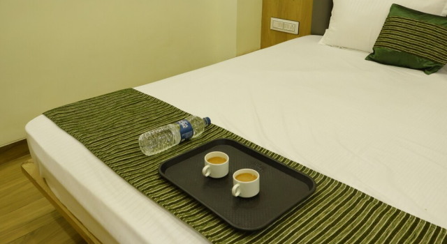 Номер Executive Hotel Krishna Pride