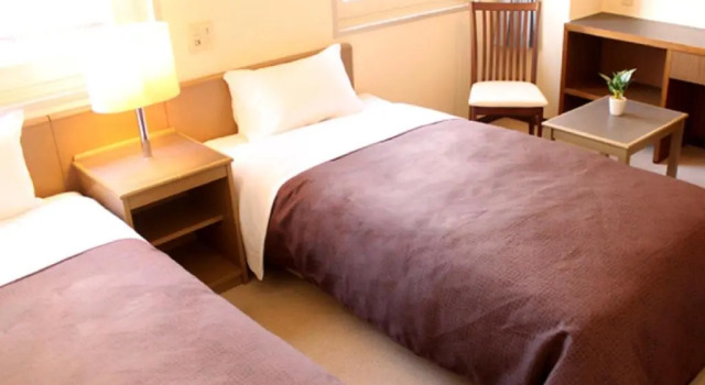 Двухместный номер Standard HOTEL LiVEMAX BUDGET Tokyo Kiba