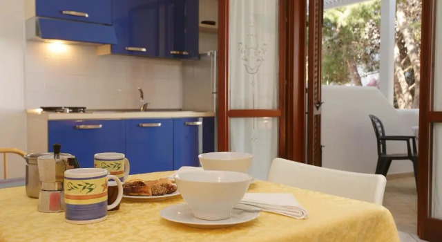 Студия Residence Tamarea