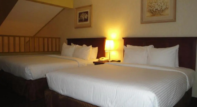 Двухместный люкс All Stay Suites