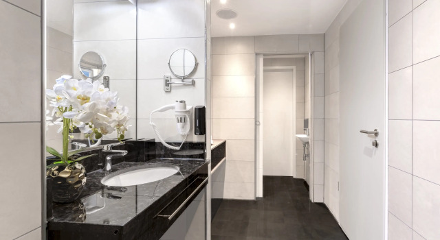 Полулюкс PLAZA Premium Heidelberg